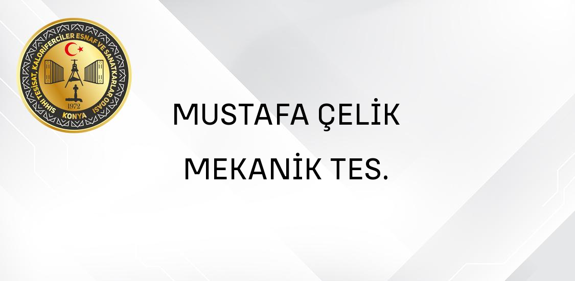 MUSTAFA ÇELİK MEKANİK TES.